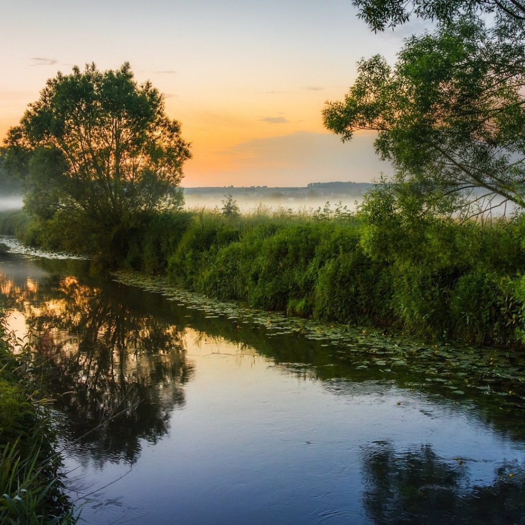 Туман над маленькой рекой