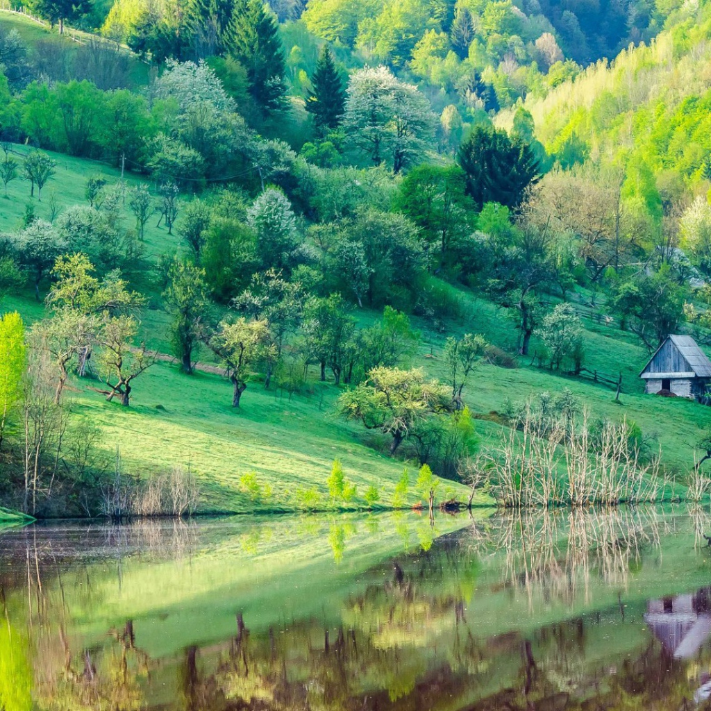 Зеленые склоны гор у озера