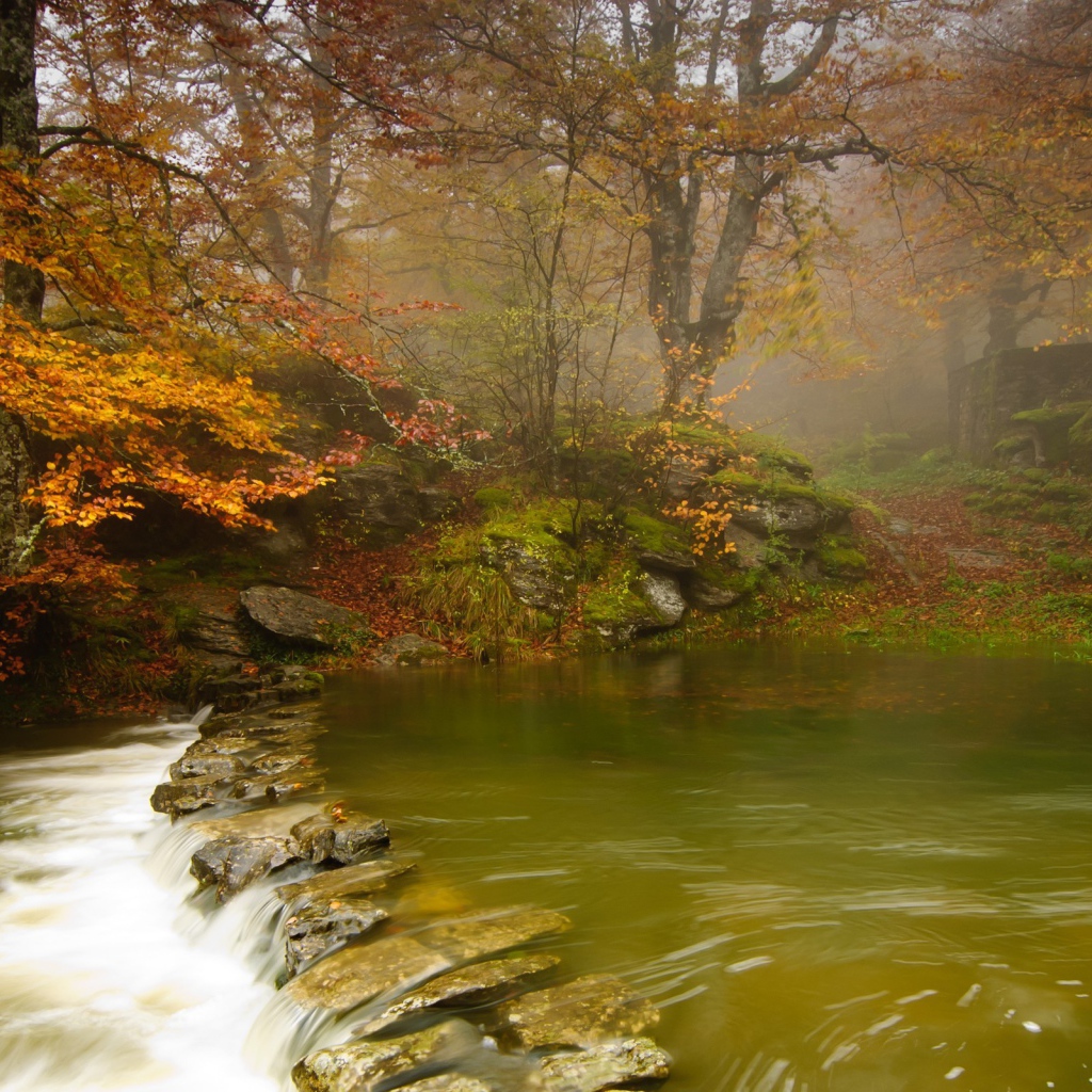 Зеленая вода в неглубокой реке