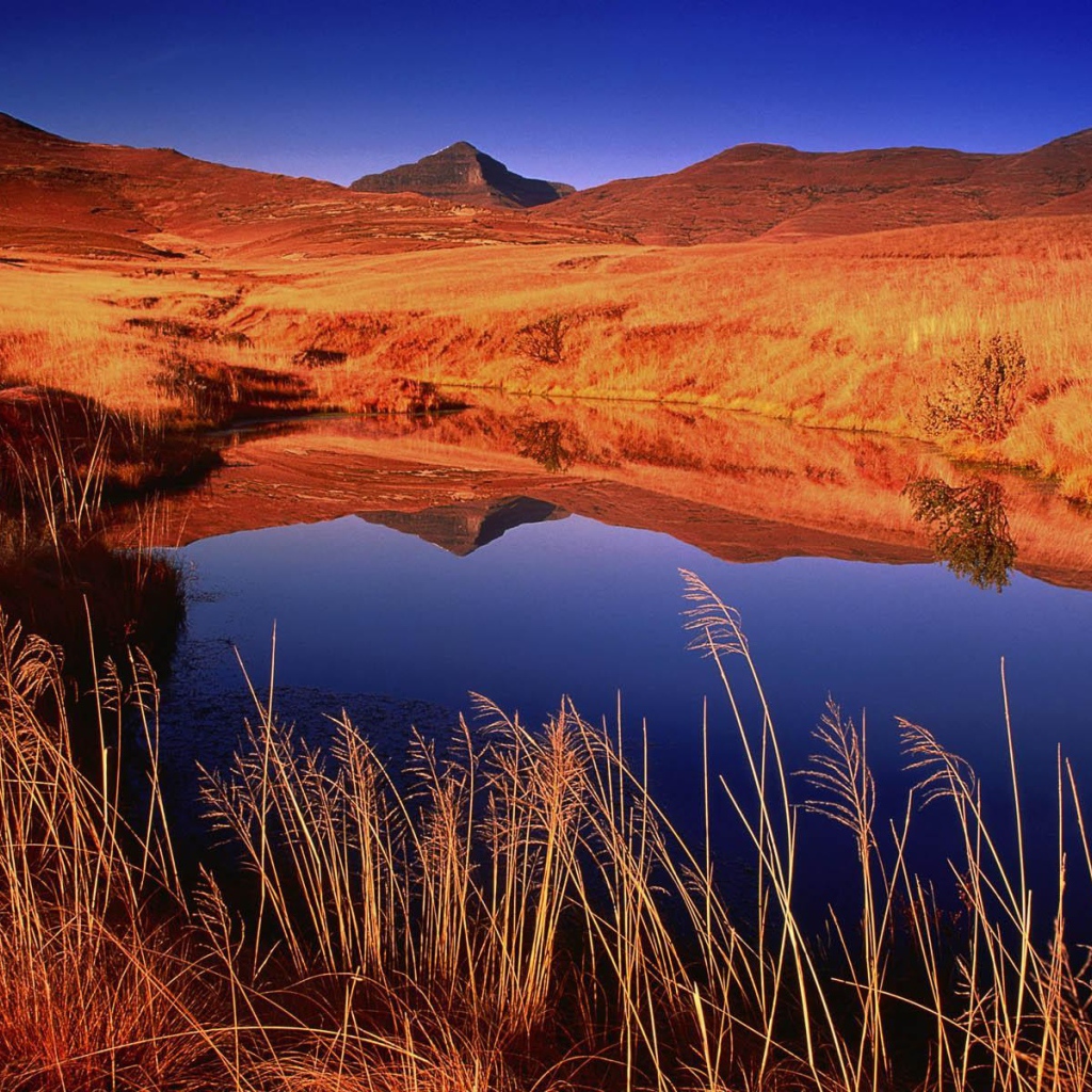 Озерцо с дождевой водой