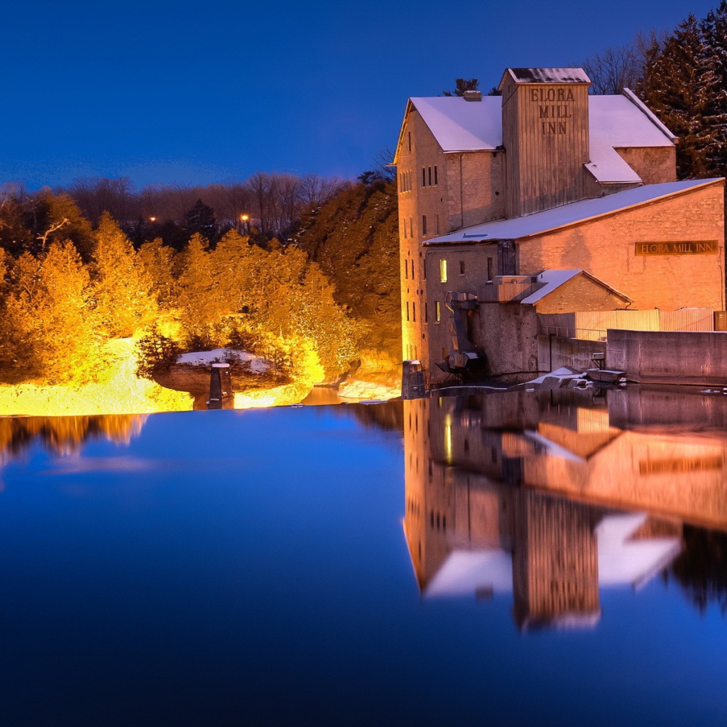Освещенные деревья на берегу озера
