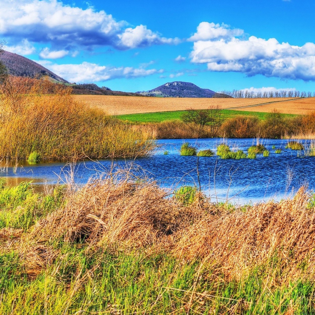 Болотистое место среди полей