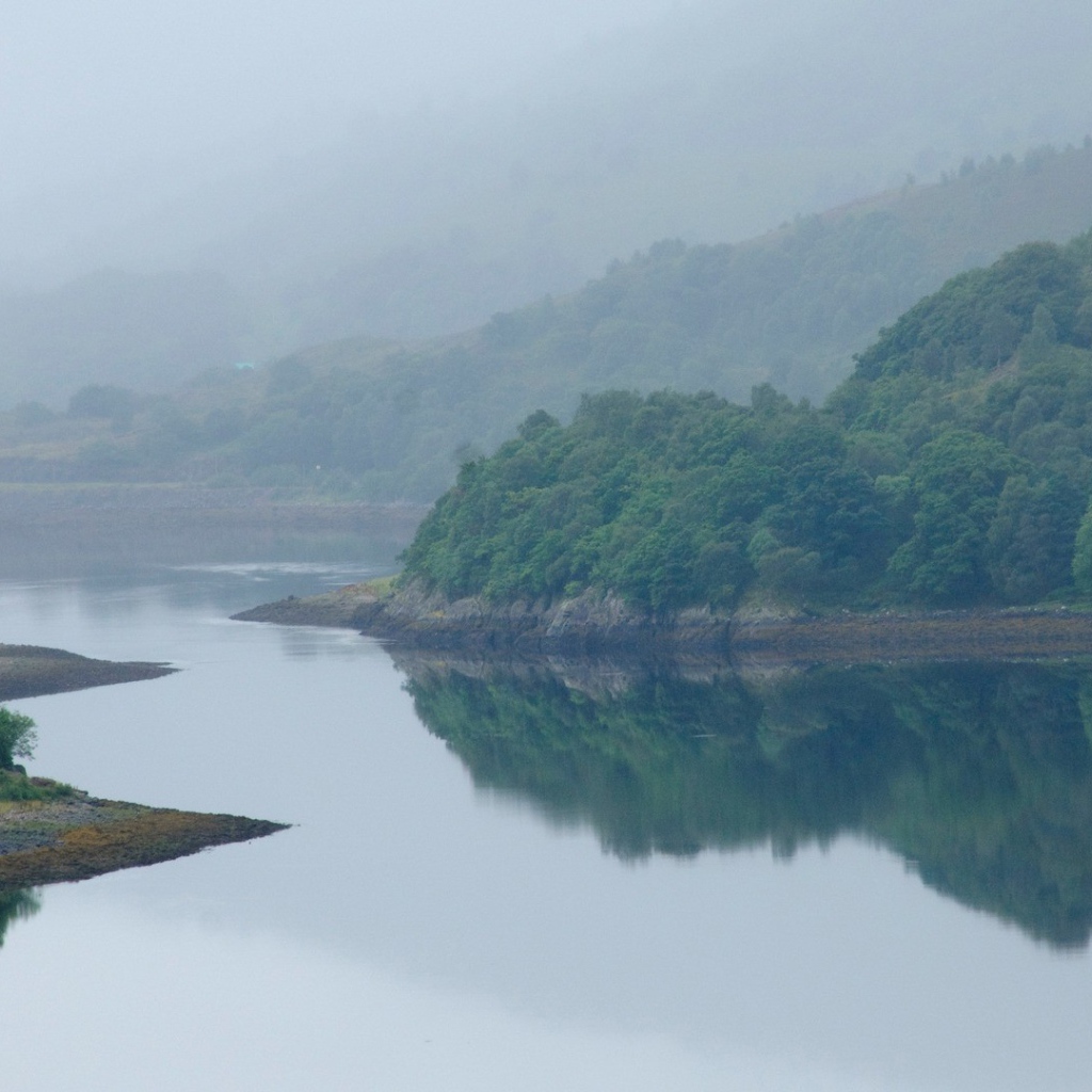 Извилистая река посреди поросших деревьями берегов