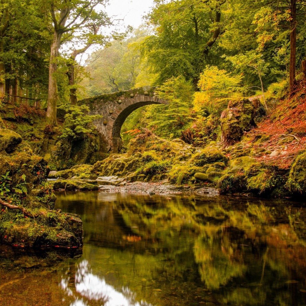 Старинный каменный мост над спокойной рекой в лесу