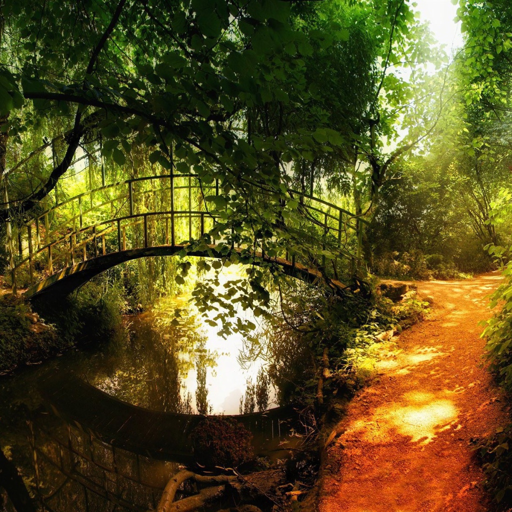 Пешеходный мост через речку