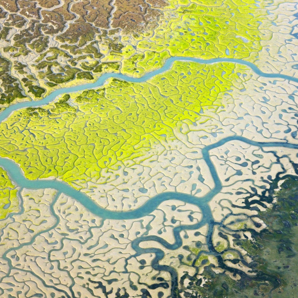 Снимок дельты реки из космоса