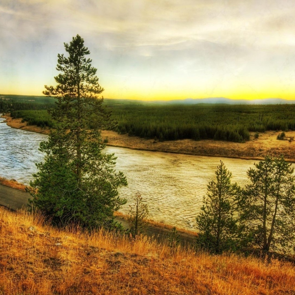 Река в тайге