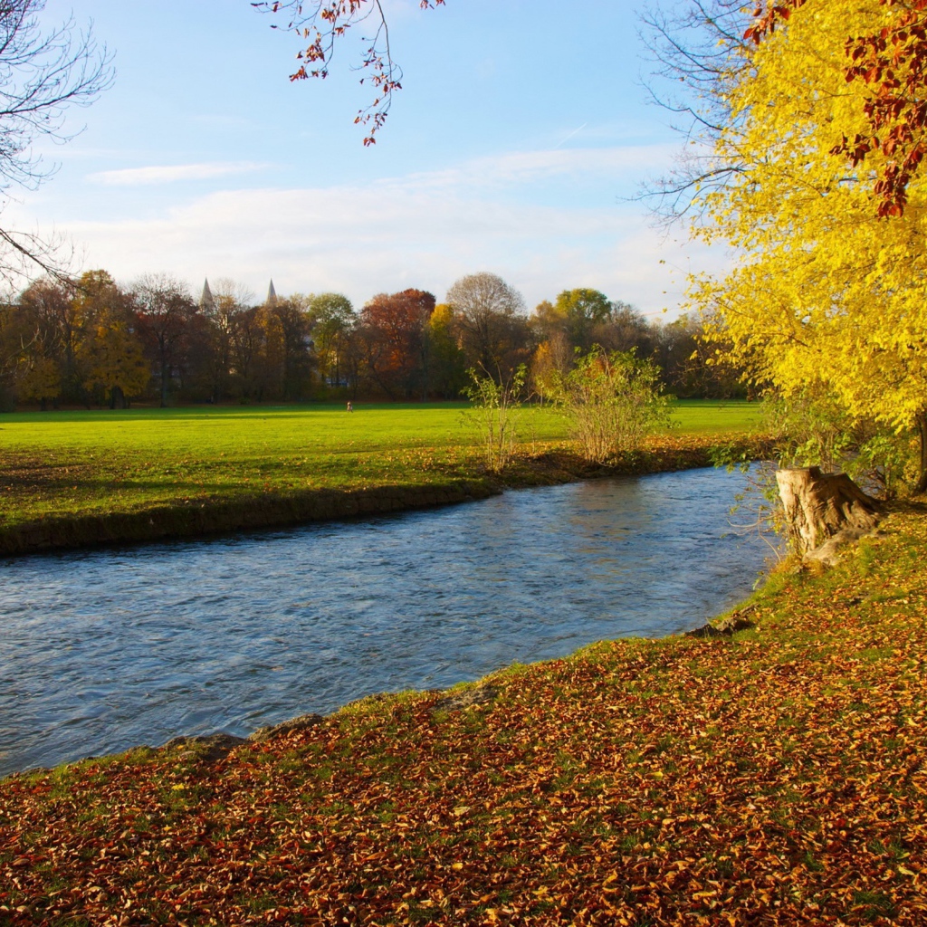 Речушка среди полей