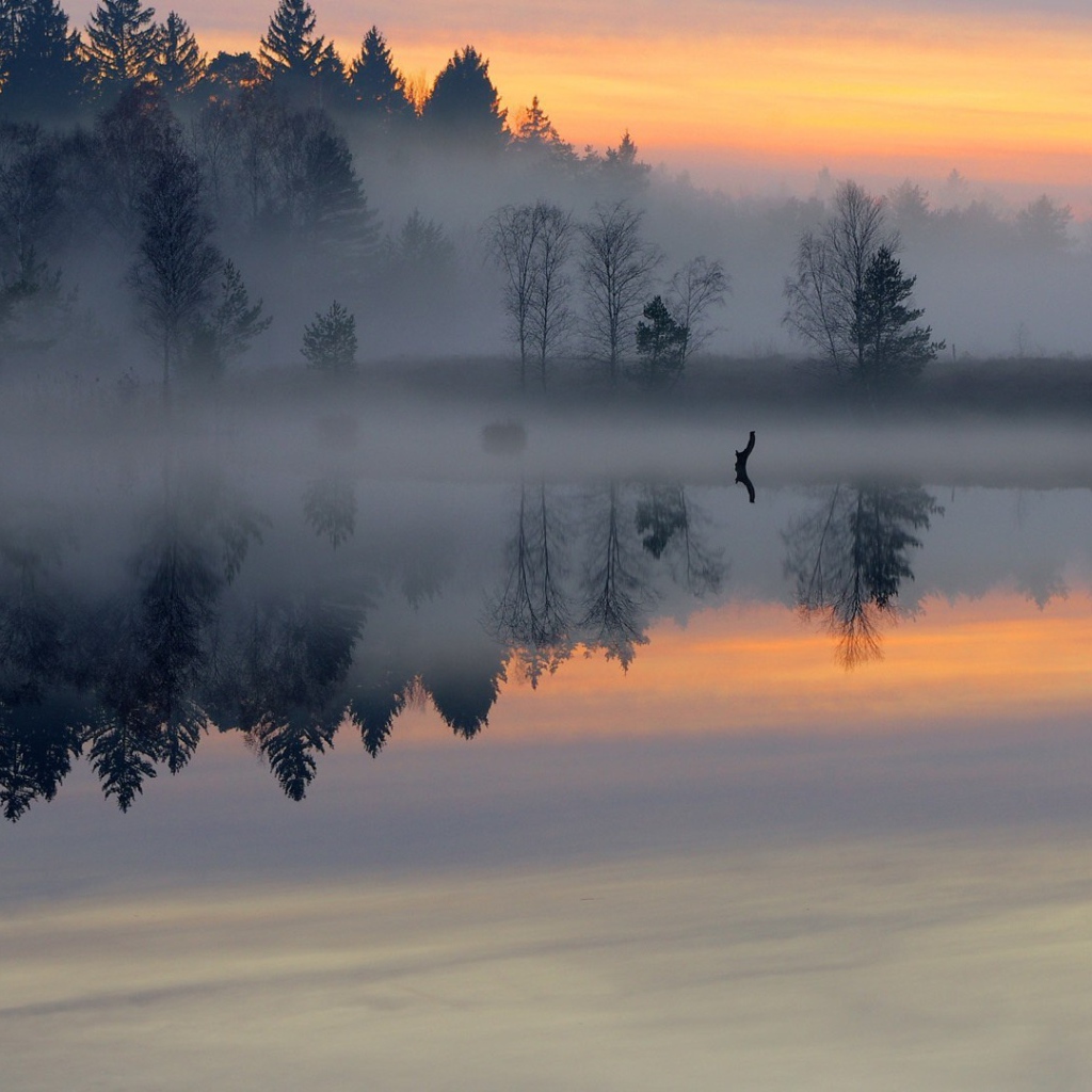 Густой утренний туман над небольшой рекой