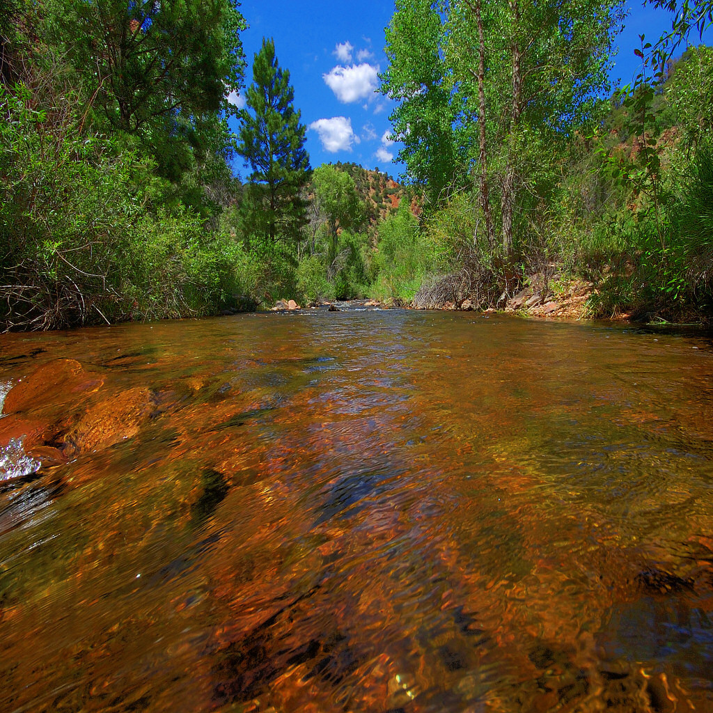 Прозрачная река в горах
