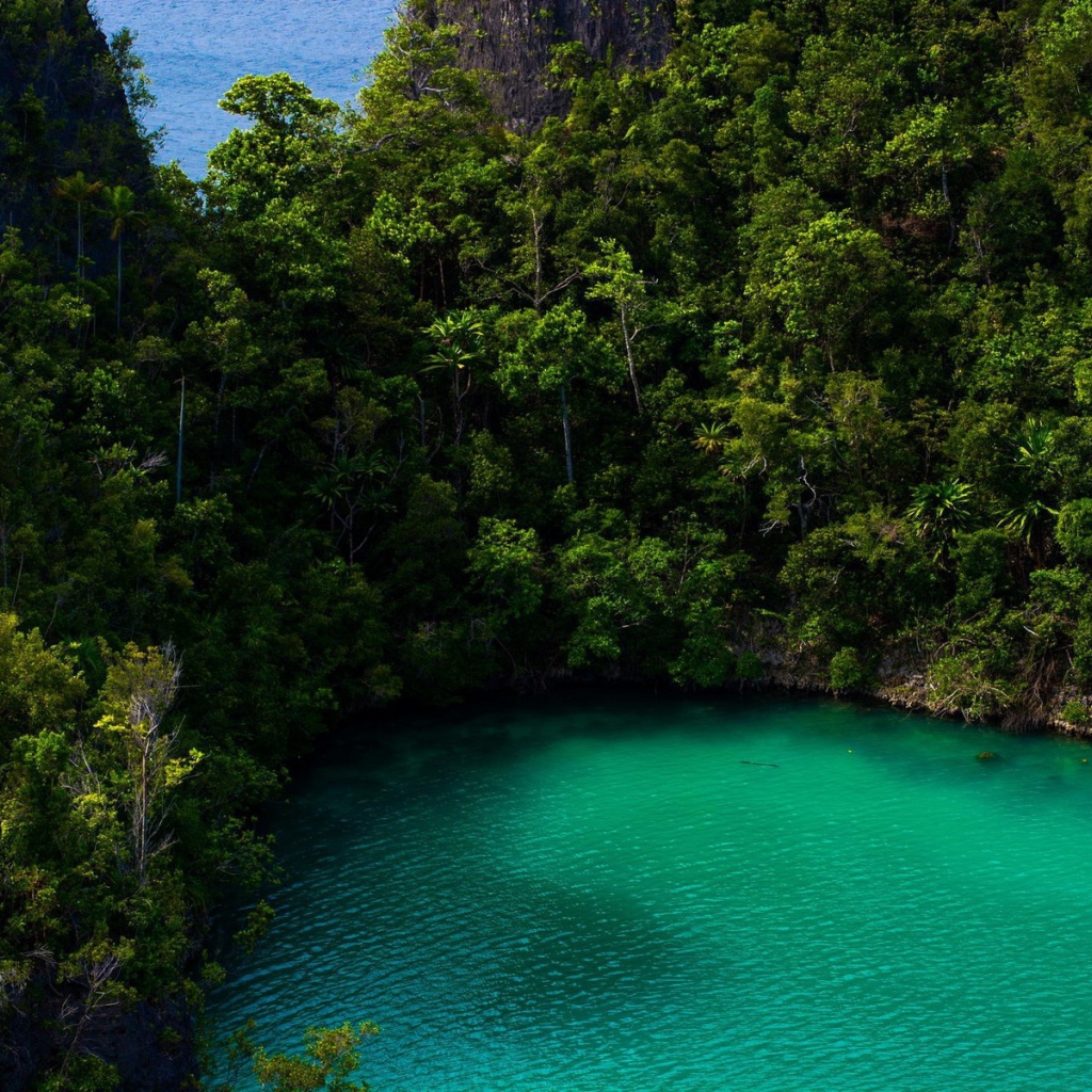 Бирюзовое озеро в тропическом лесу
