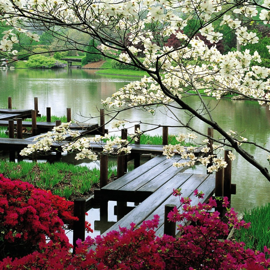 Деревянная дорожка для прогулок у реки