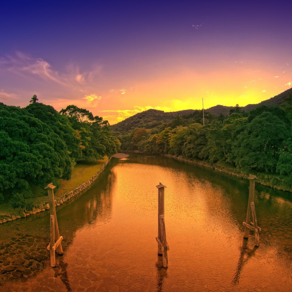 Деревянные столбы в канале