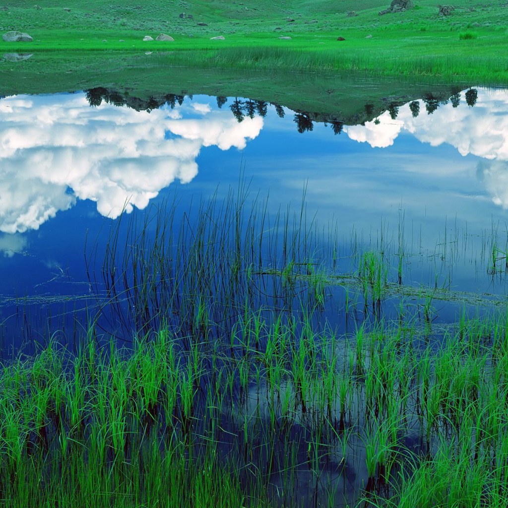 Зеркальное изображение в озере