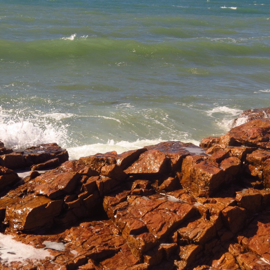 Коричневые камни на берегу моря