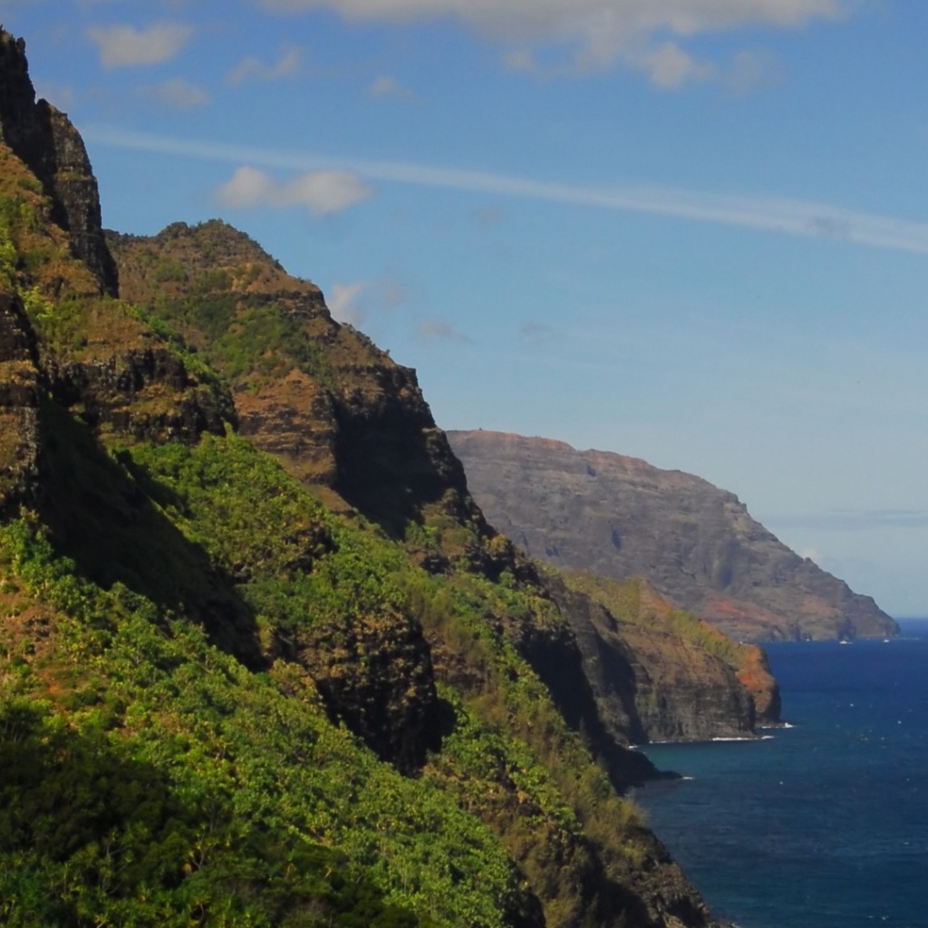 Покрытые лесом скалы над морем