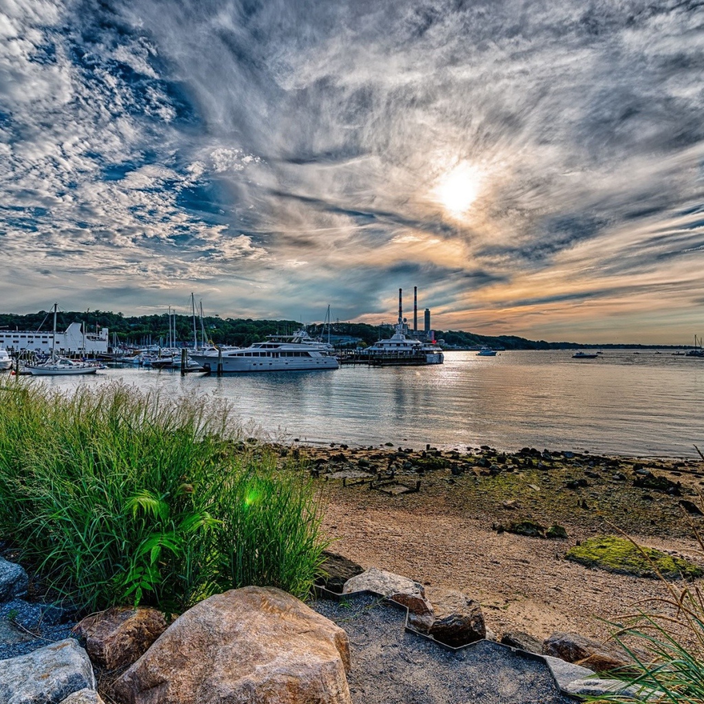 Пучок травы на берегу морского залива