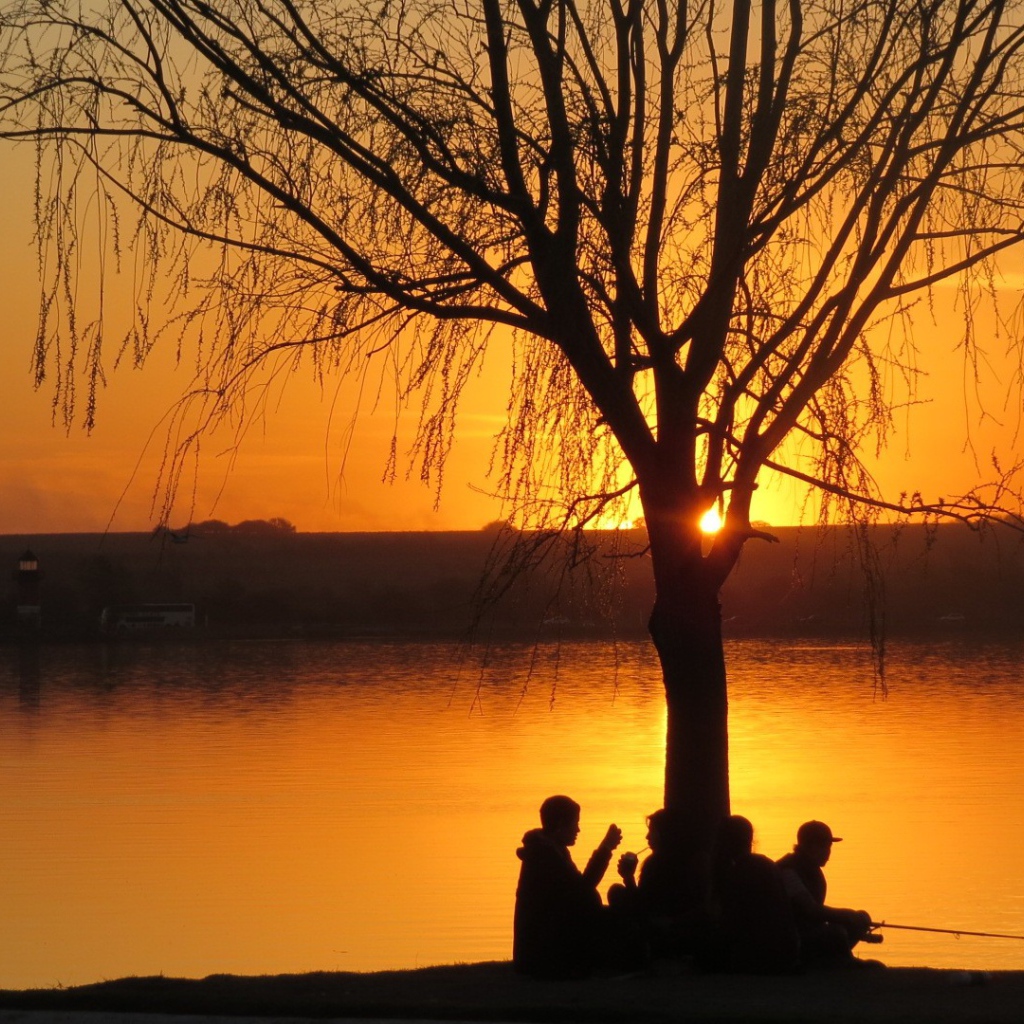 Рыбаки отдыхают под деревом на закате
