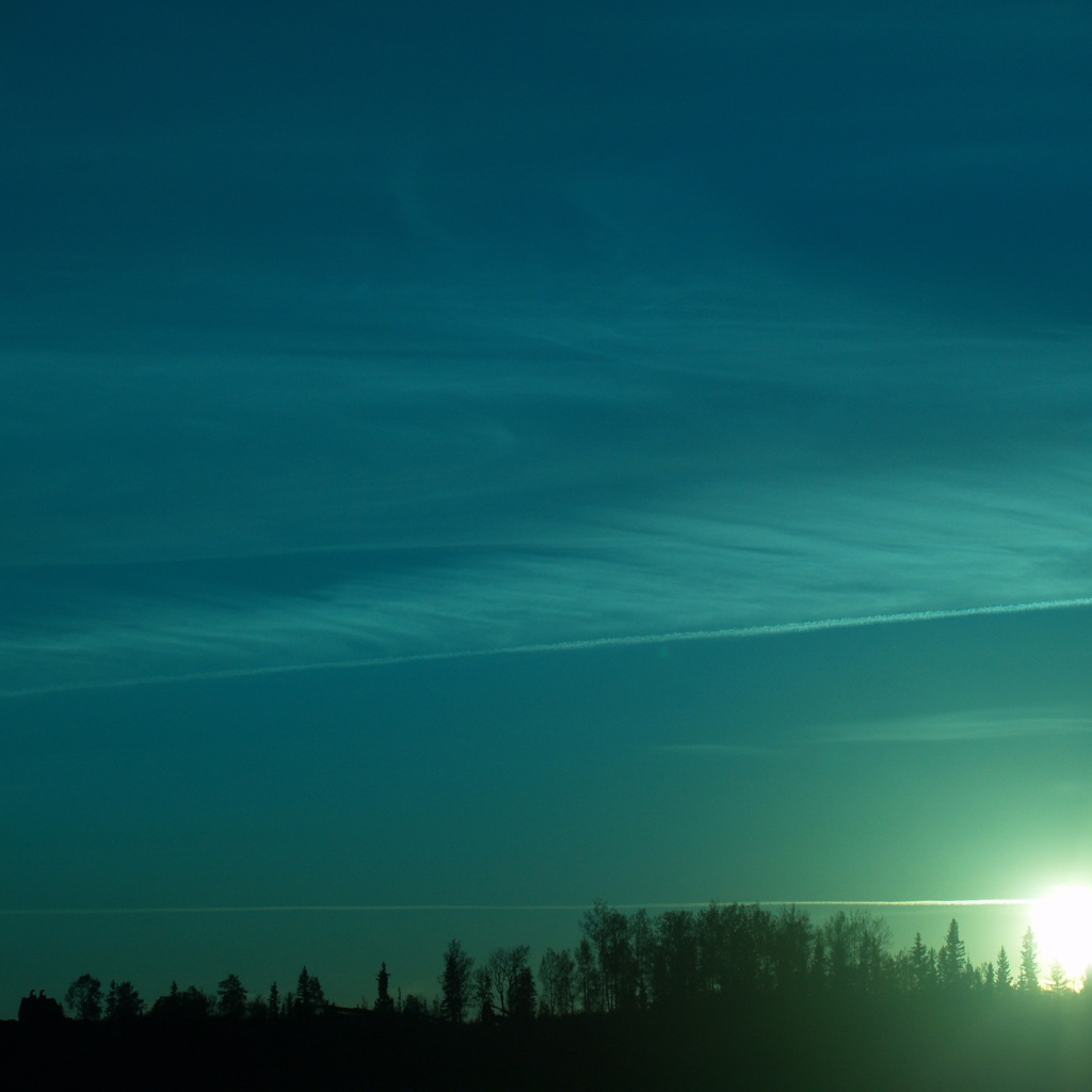 Зеленый закат над лесом