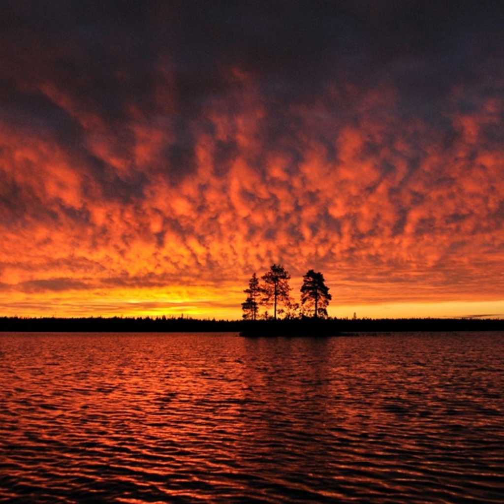 Силуэты деревьев на острове под горящим небом