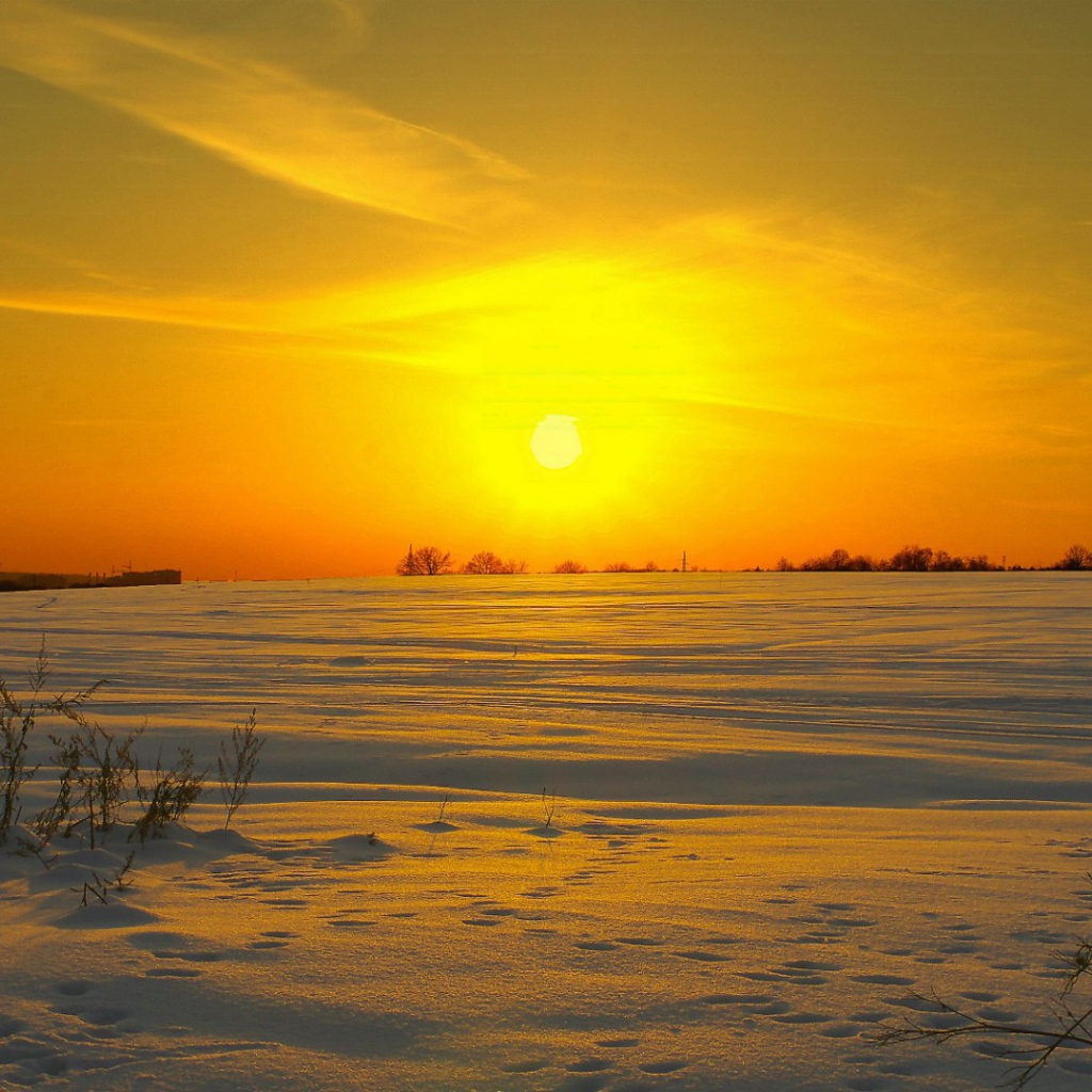 Солнце клонится к закату над заснеженным полем