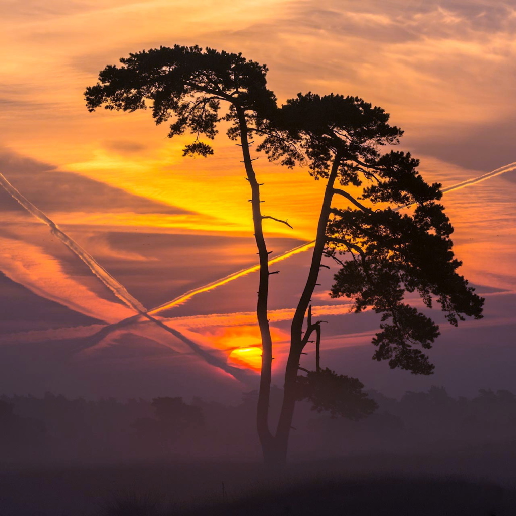 Следы самолетов на закате