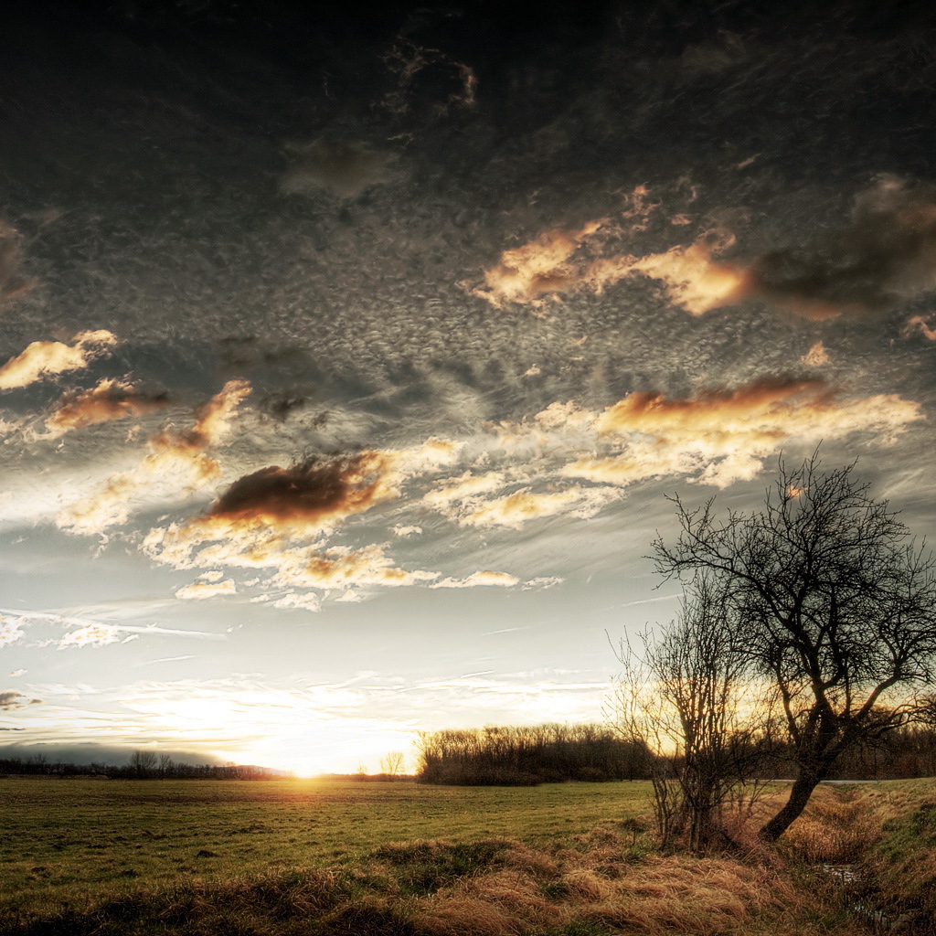 Закат на чистом поле