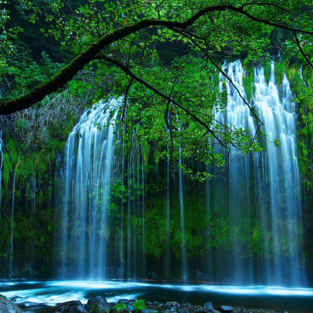 Красивый водопад среди зелени в чаще леса