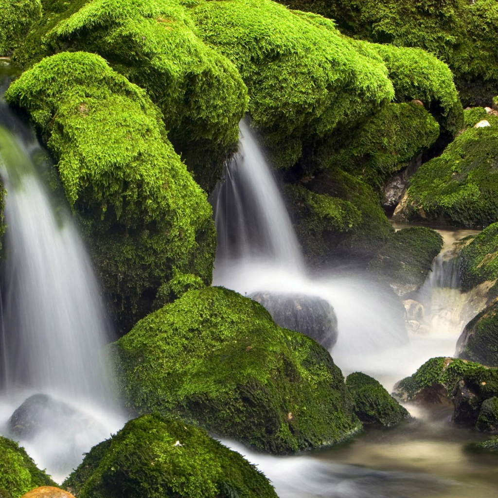Вода стекает вниз среди поросших мхом камней
