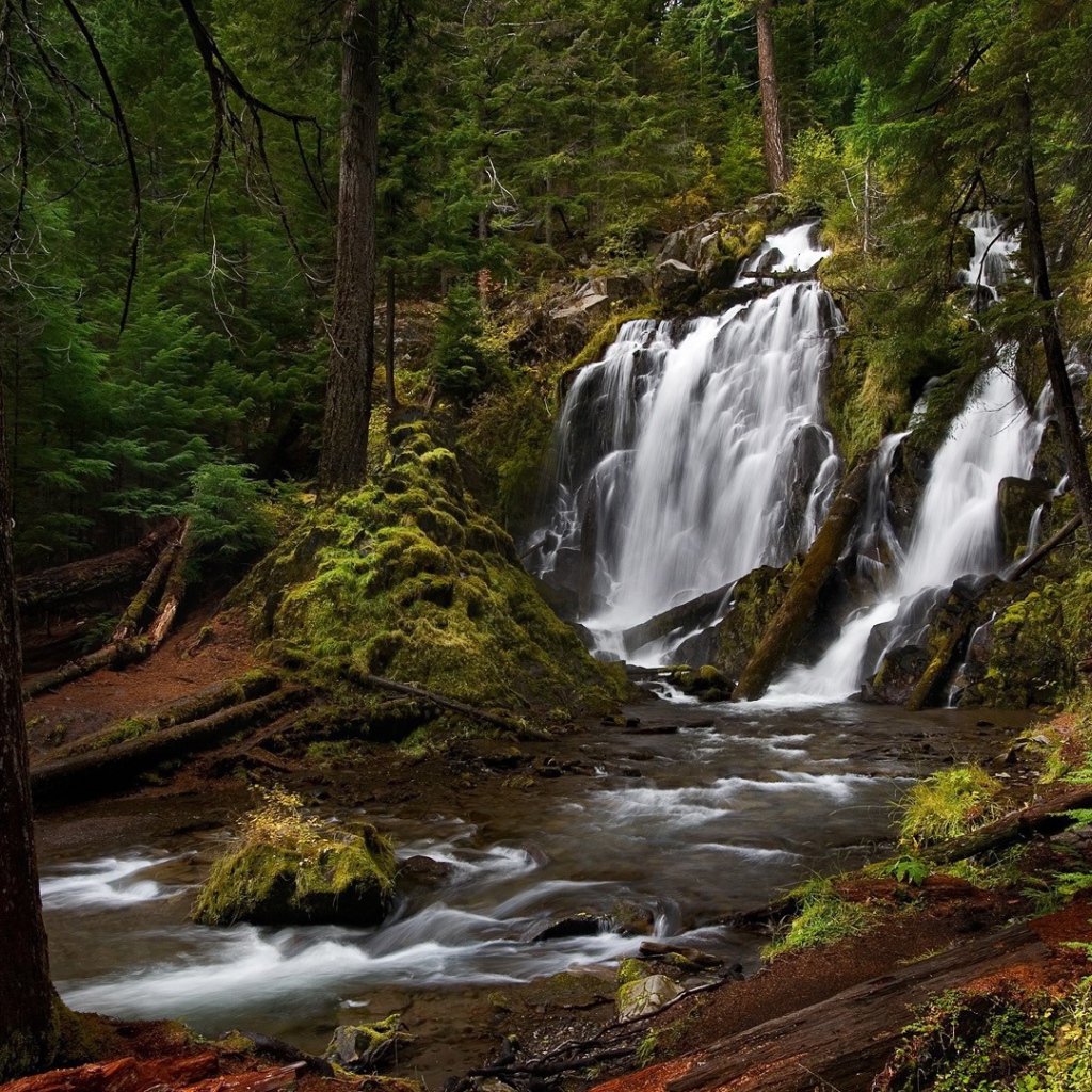Водопад, скрытый в чаще леса