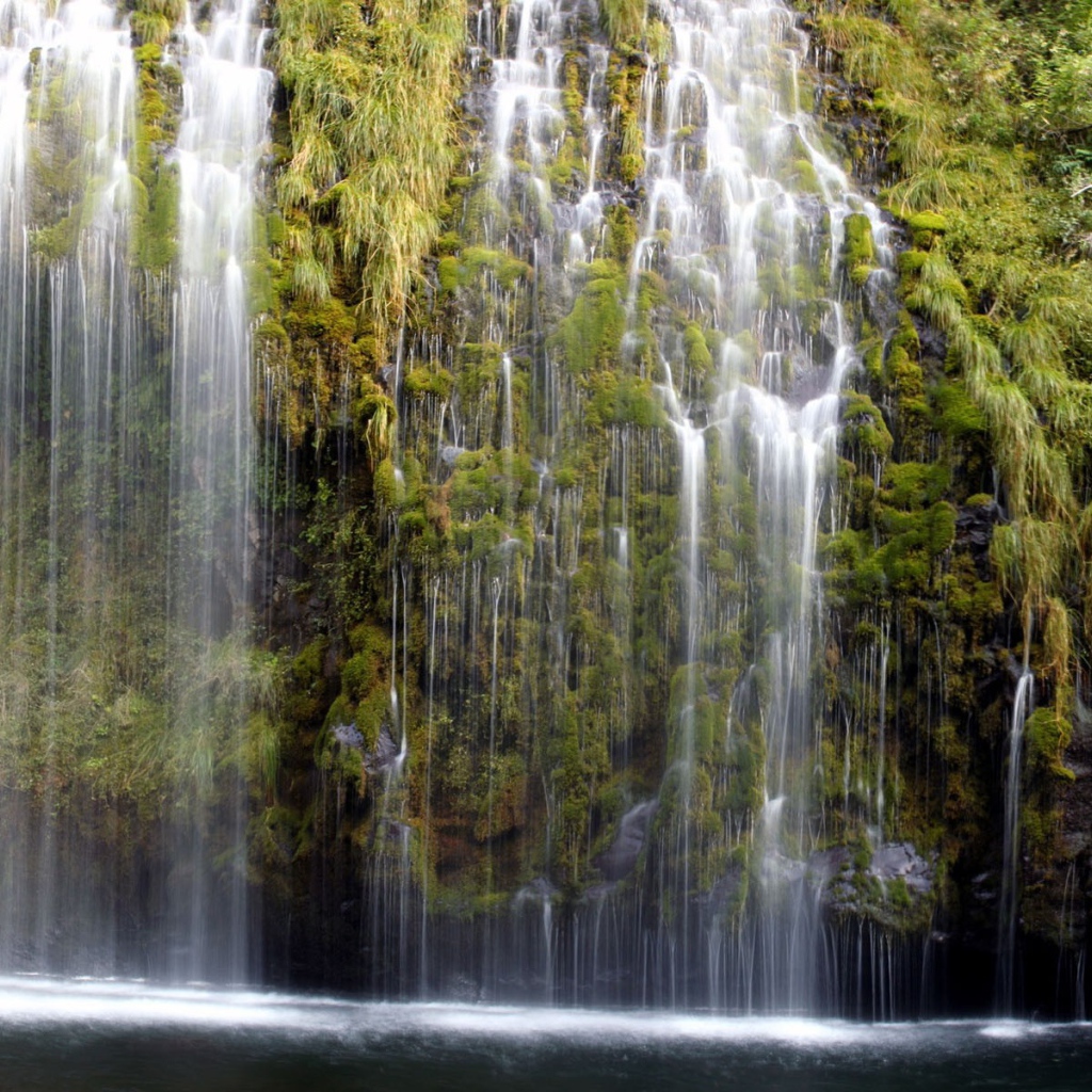 Водопад по зеленым зарослям