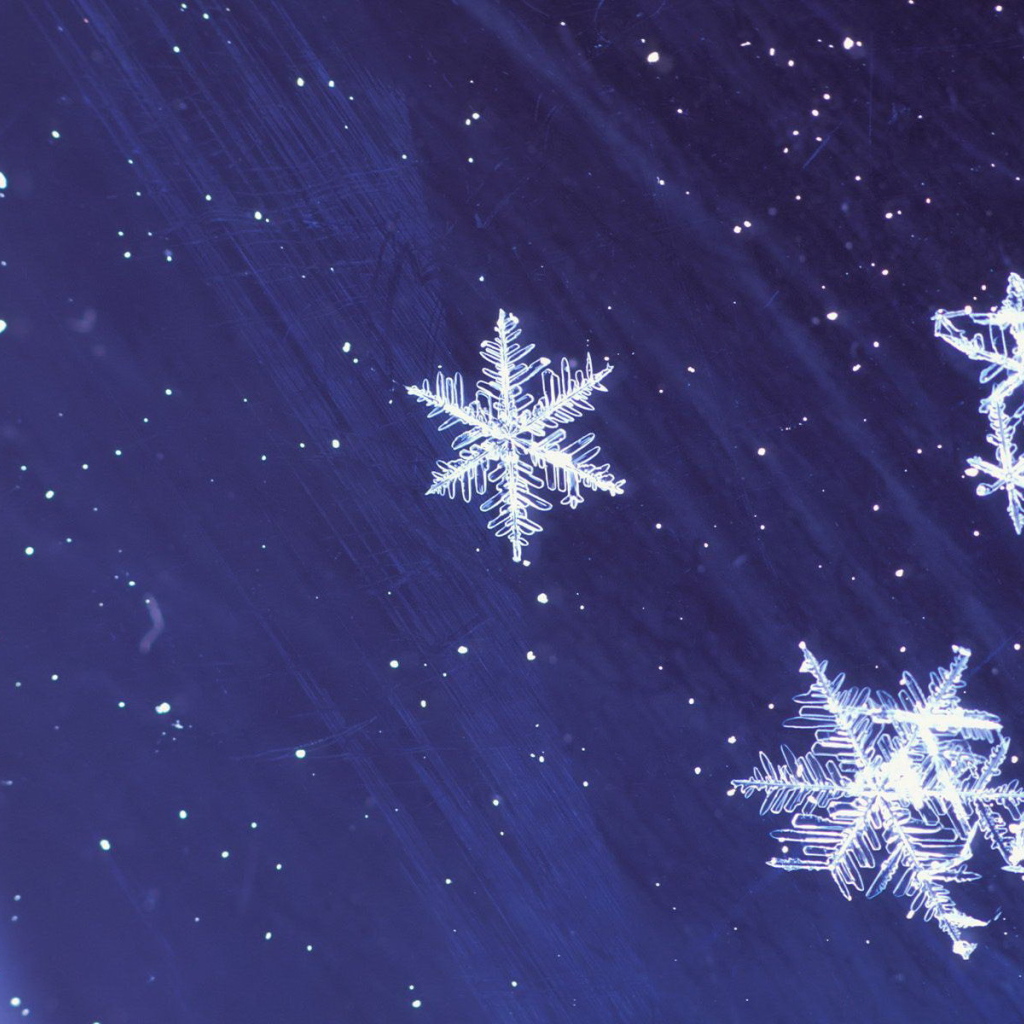 Снежинки на звездном небе