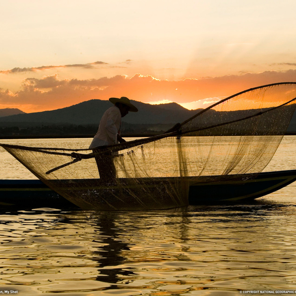 Рыбак закидывает сеть