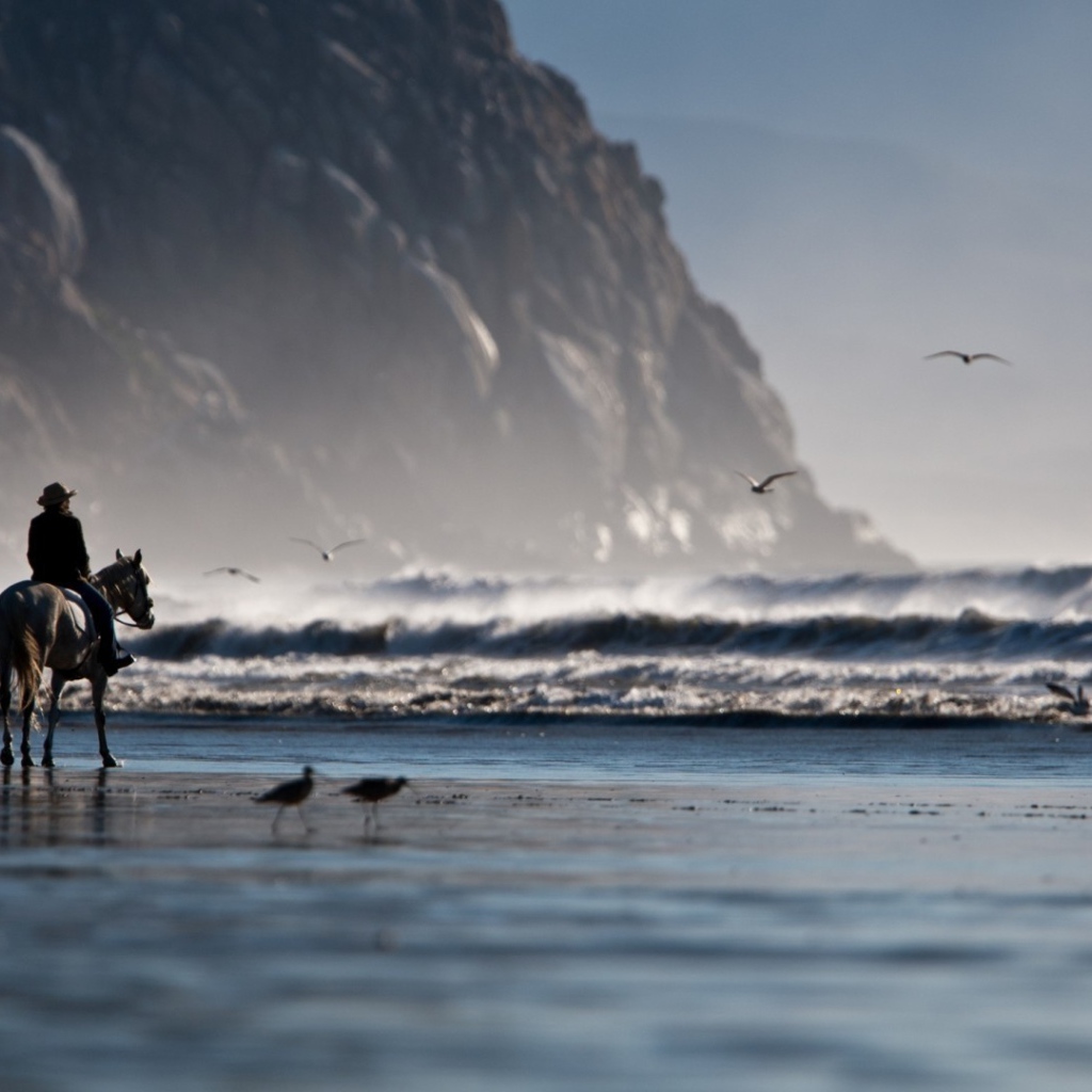 Одинокий всадник на берегу моря