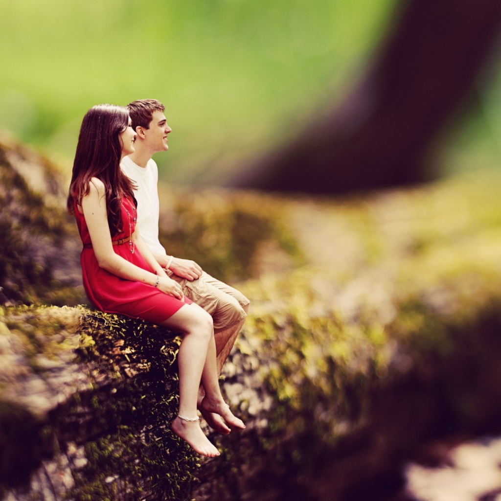 Маленькие люди на большом дереве