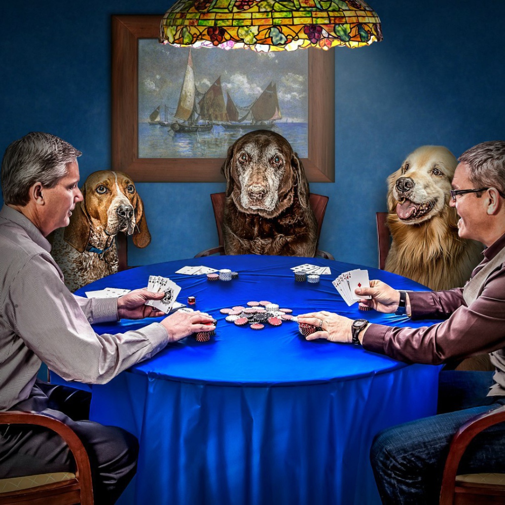 Игра в покер с собаками
