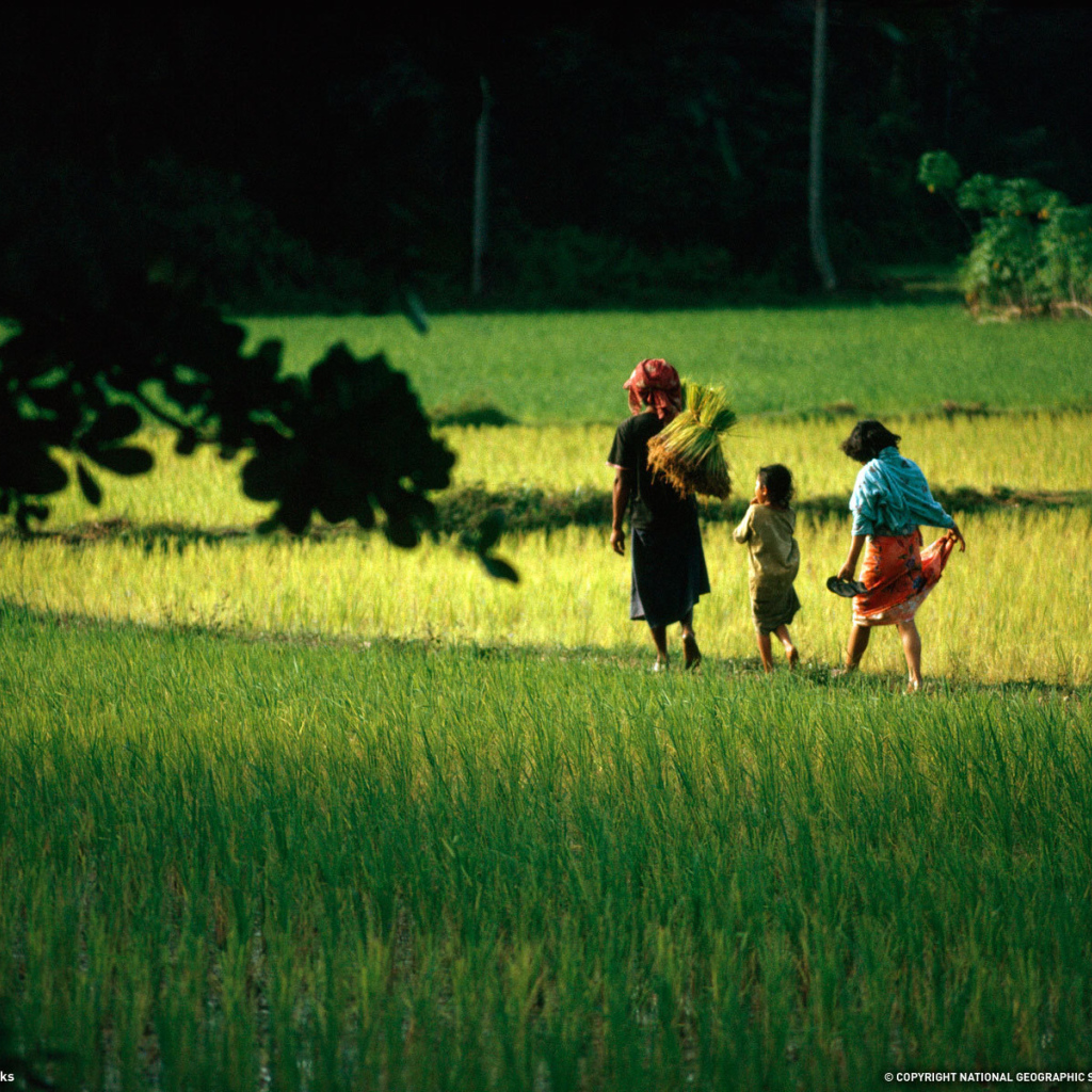 Семья аборигенов
