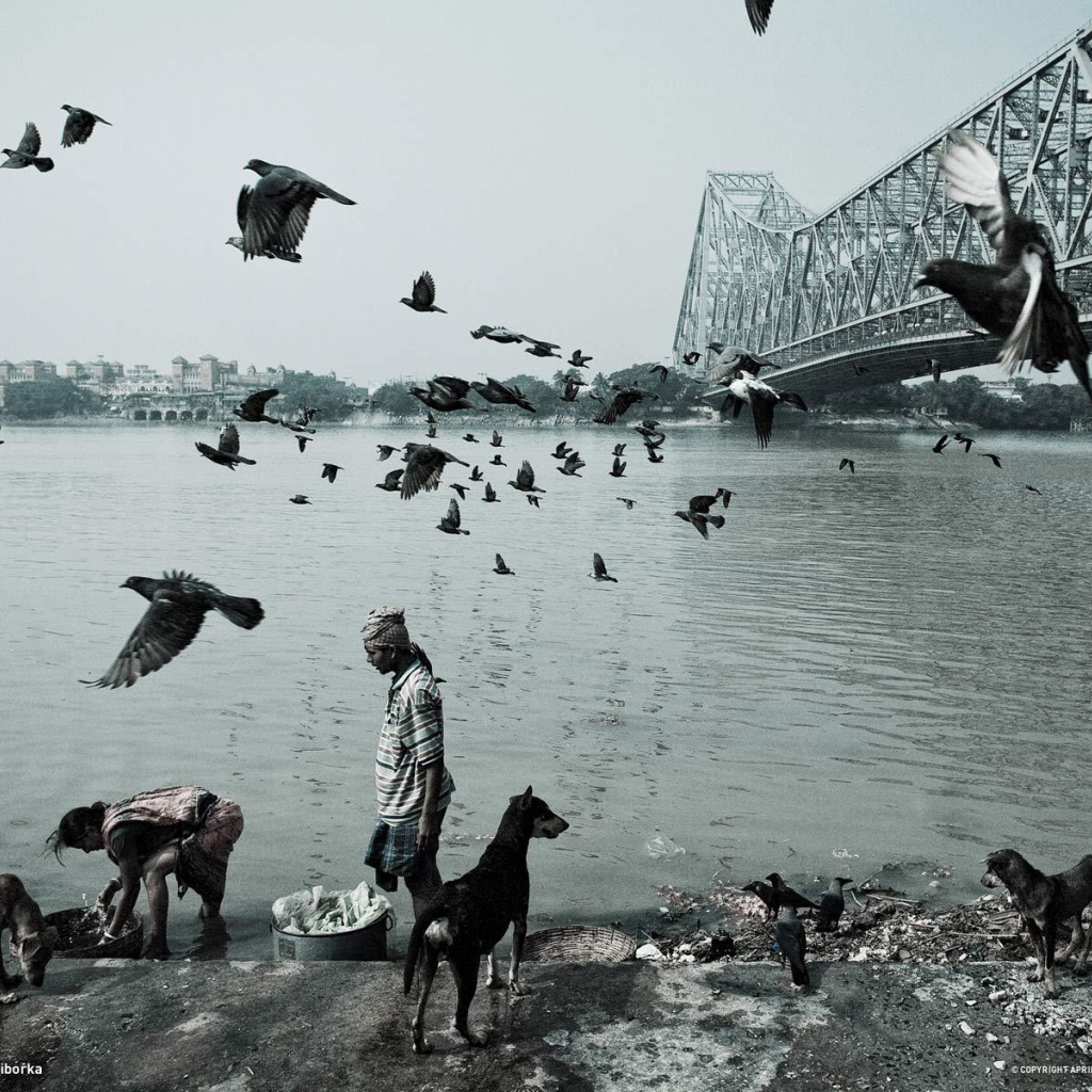 Жизнь людей и животных