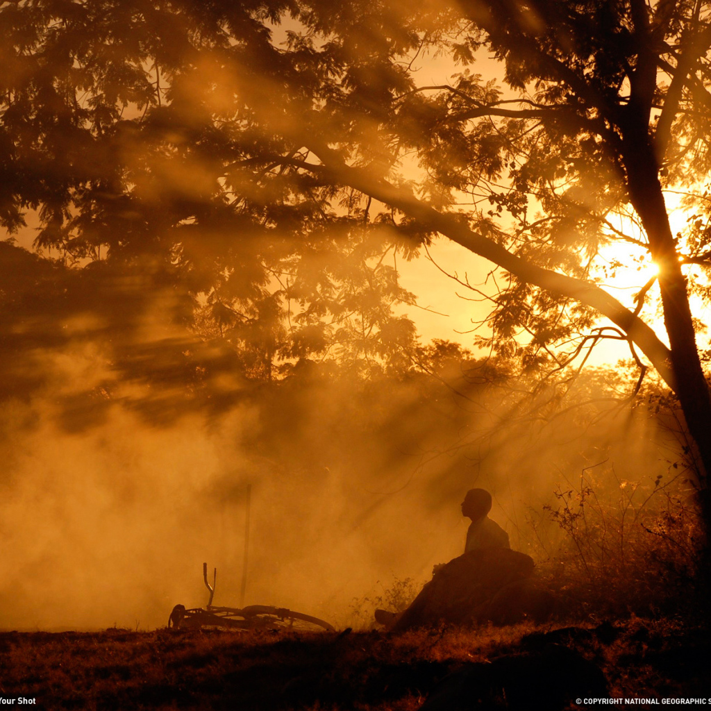 Человек с велосипедом