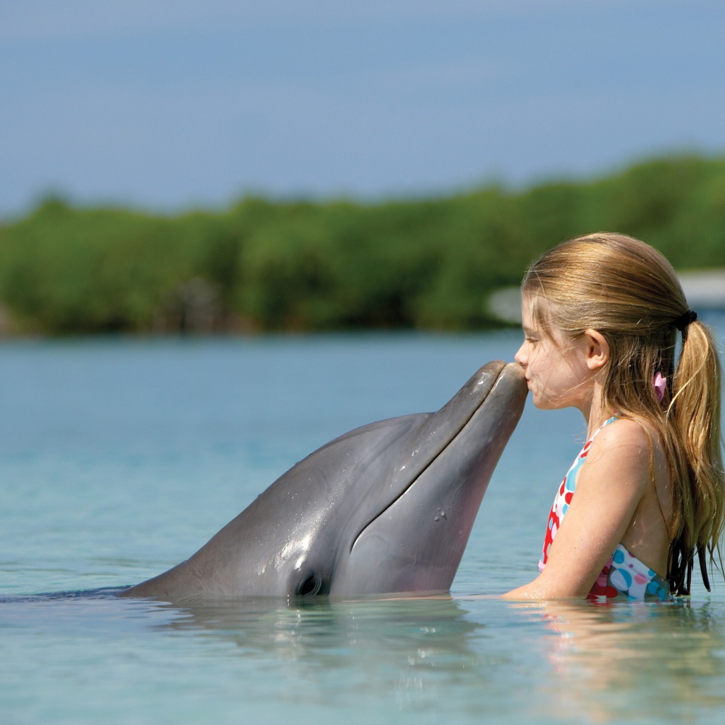 Маленькая девочка целует дельфина