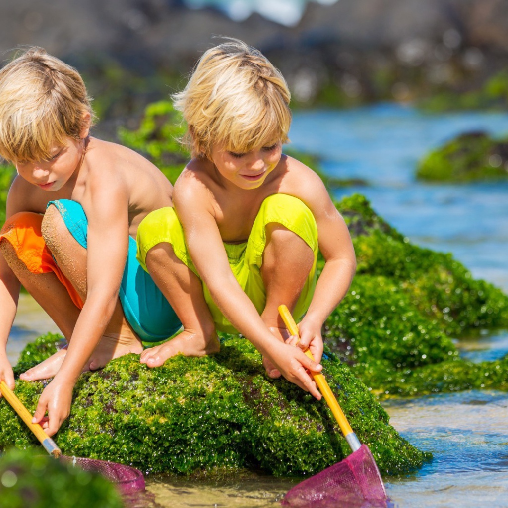Два брата ловят рыбу сачками