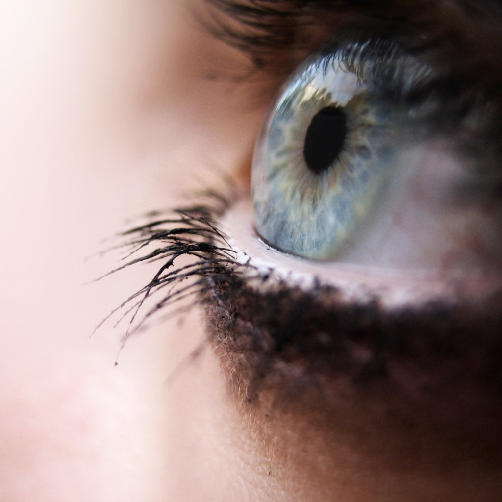 Глаз человека