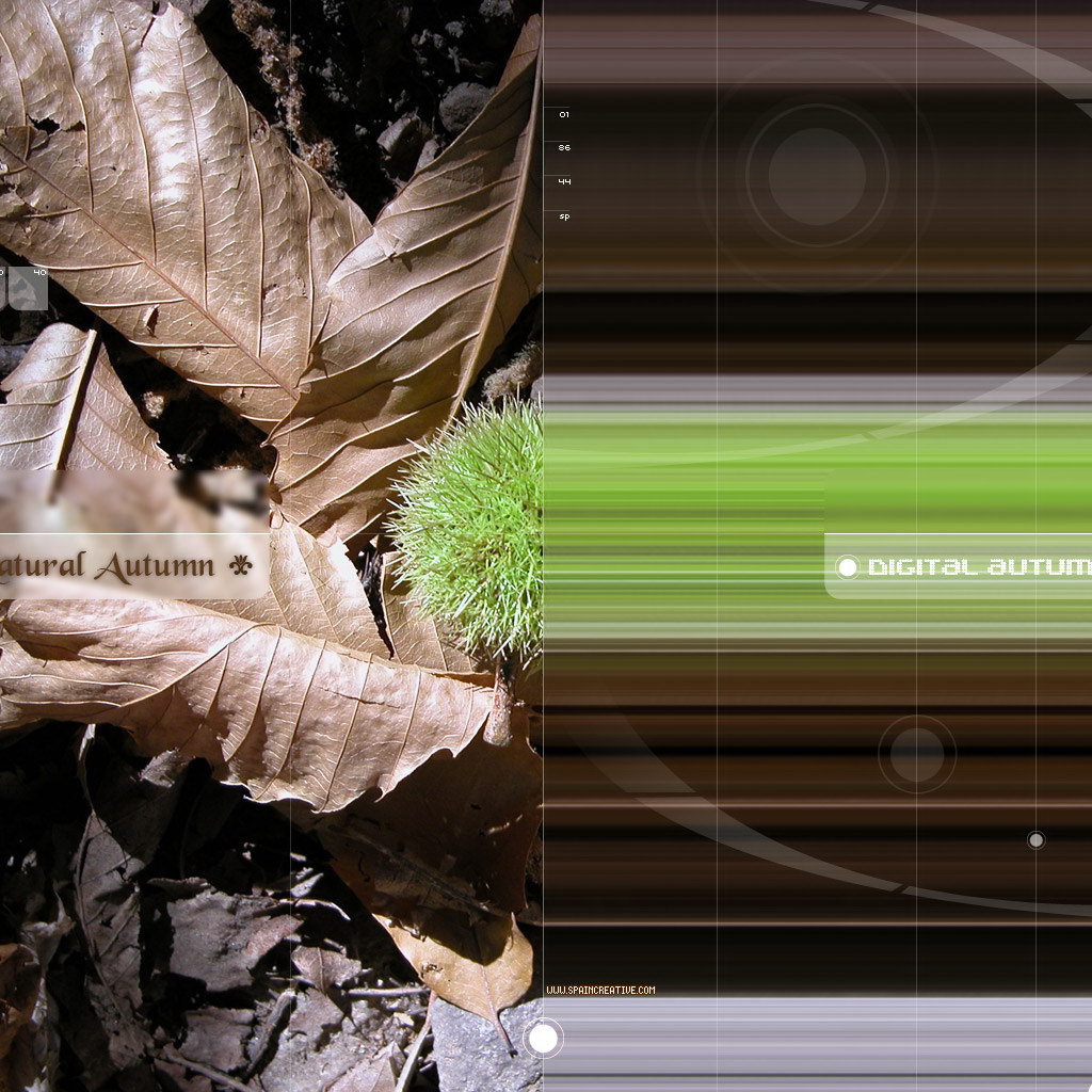 Природная и цифровая осень