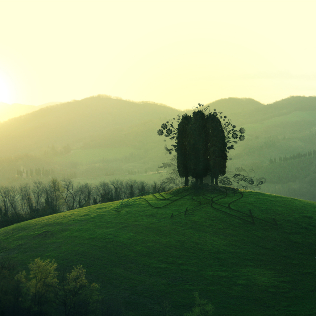 Три дерева на холме