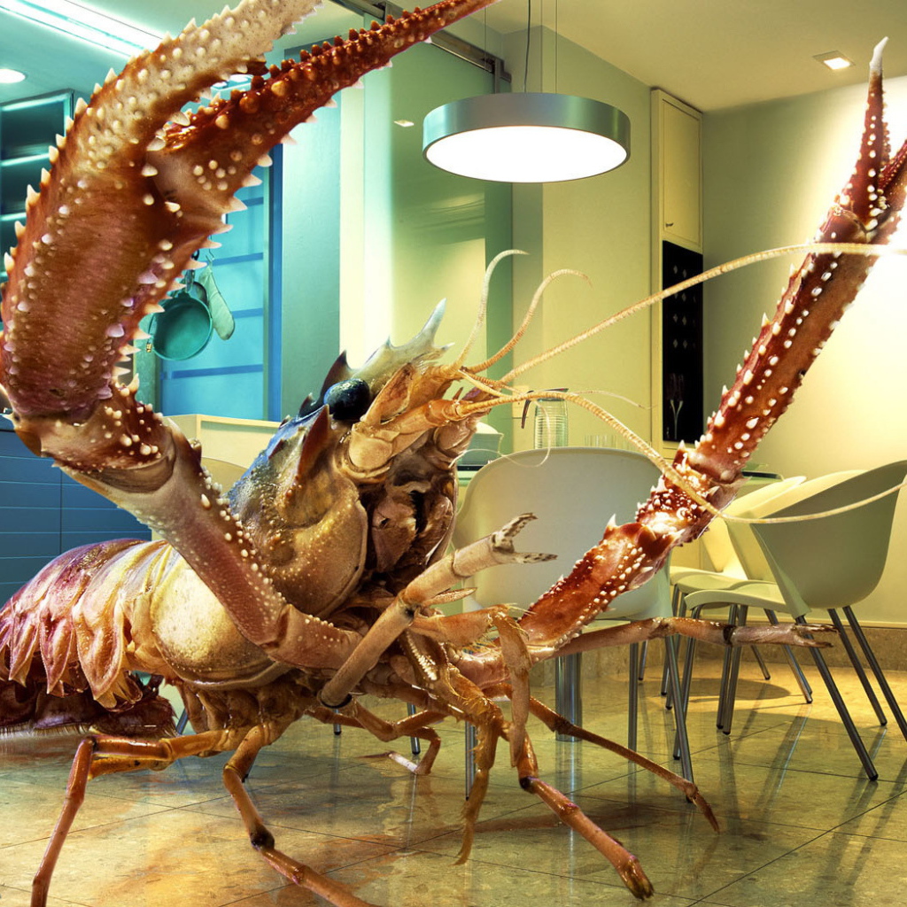 Краб в комнате