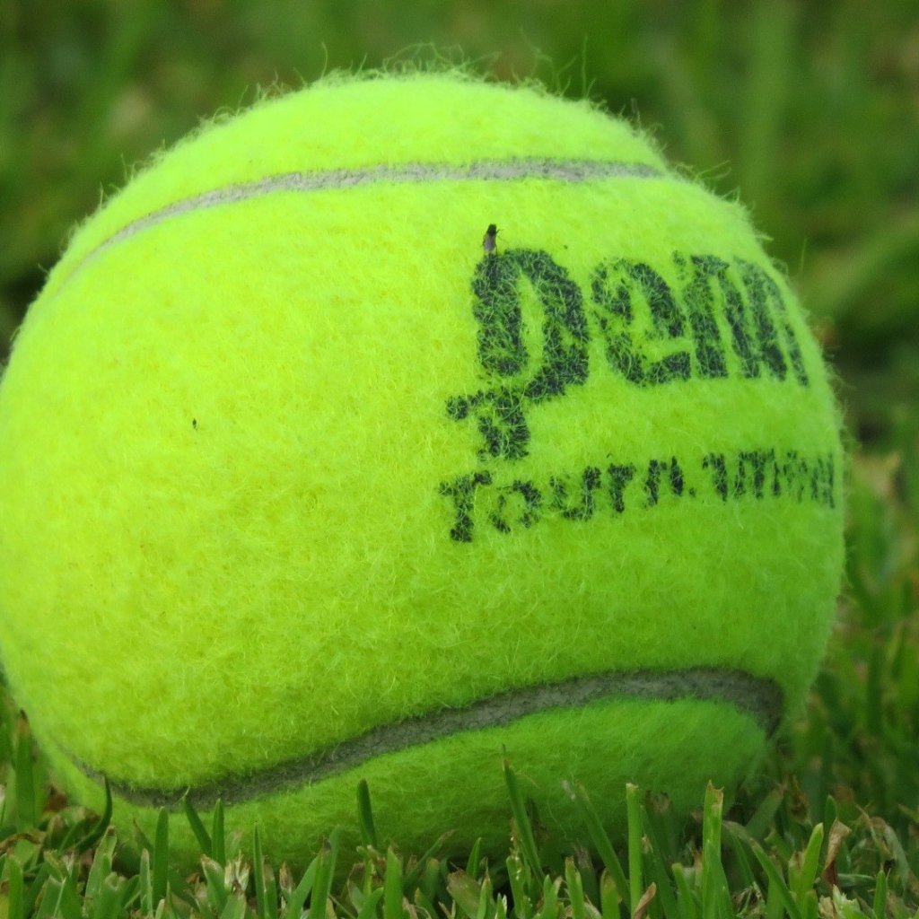 Теннисный мяч на газоне