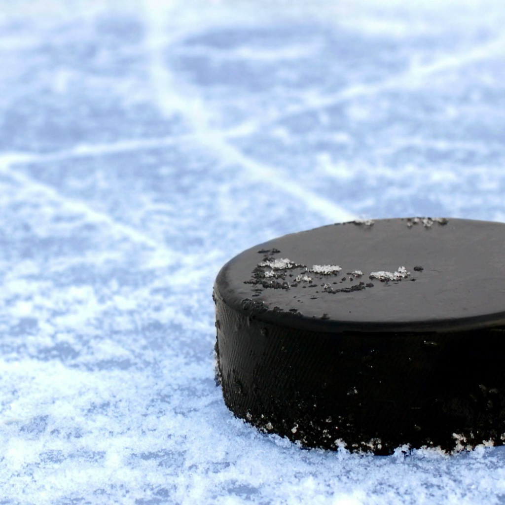 Черная хоккейная шайба