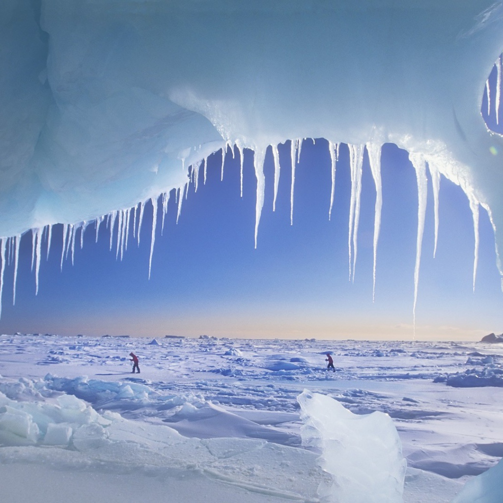 icy wilderness Desktop wallpapers 1024x1024