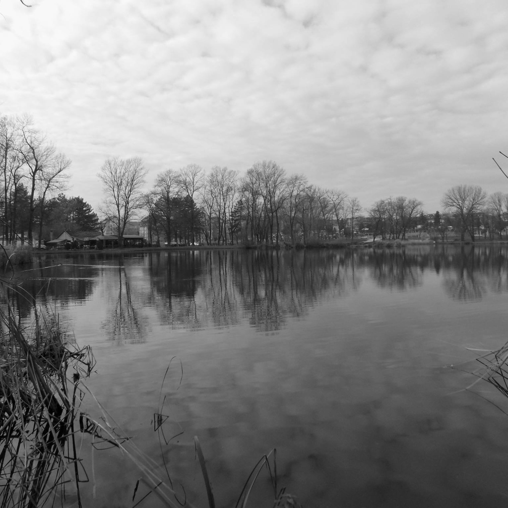 Черно белое фото озера в Сербии