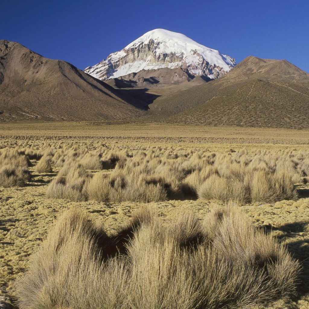 Сухое плоскогорье в Боливии